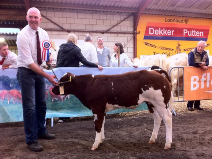 Mannelijk 4 jaar en ouder: Het solitaire slotoptreden bij de stieren was weggelegd voor Gert v. Volenbeek van Rozendaal.