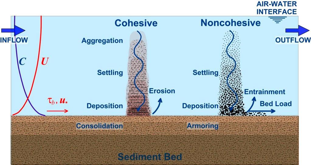 2.3 Sedimentdynamiek en -transport De hydrodynamiek van het water wordt gestuurd door primaire processen van getij, rivierafvoer en meteorologische omstandigheden ((extreme) neerslag, wind en golven