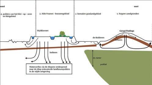 De bodem in de Alde Feanen bestaat grotendeels uit veengronden (zie figuur 3.2). Overheersend is het veenmosveen, dat tot ontwikkeling is gekomen boven het grondwater onder invloed van regenwater.