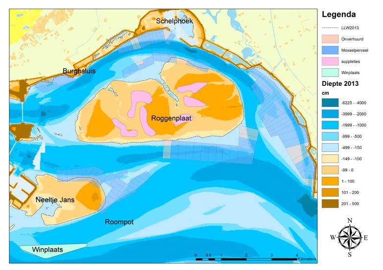 Figuur 1: Overzicht van de suppleties op de Roggenplaat (roze gebieden). De winplaats bevindt zich in de Roompotgeul, ten zuiden van Neeltje Jans. De ligging van de mosselpercelen is ook weergegeven.