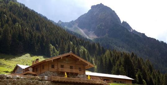 Vervolg reisprogramma Tirol Wildschönau Kasplatzl Kaasmakerij Aan de voet van het grote