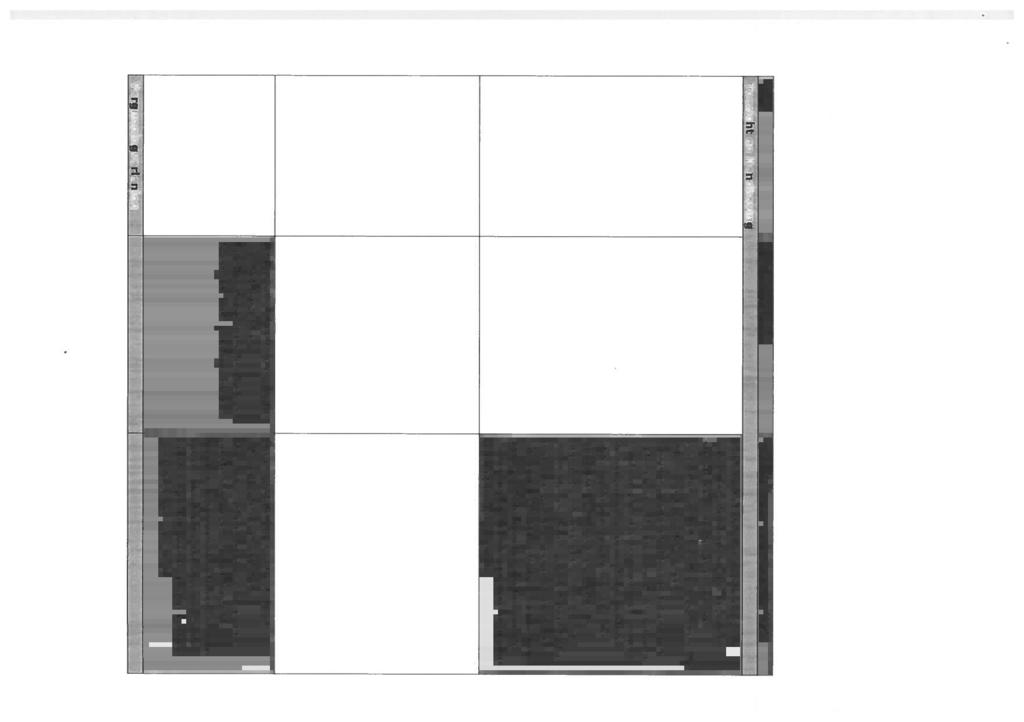 Bijlage: Overzicht bevindingen uit de ILT-Audit per Zorgplicht activiteit, met voorstel tot verbeteractie van WNZ.