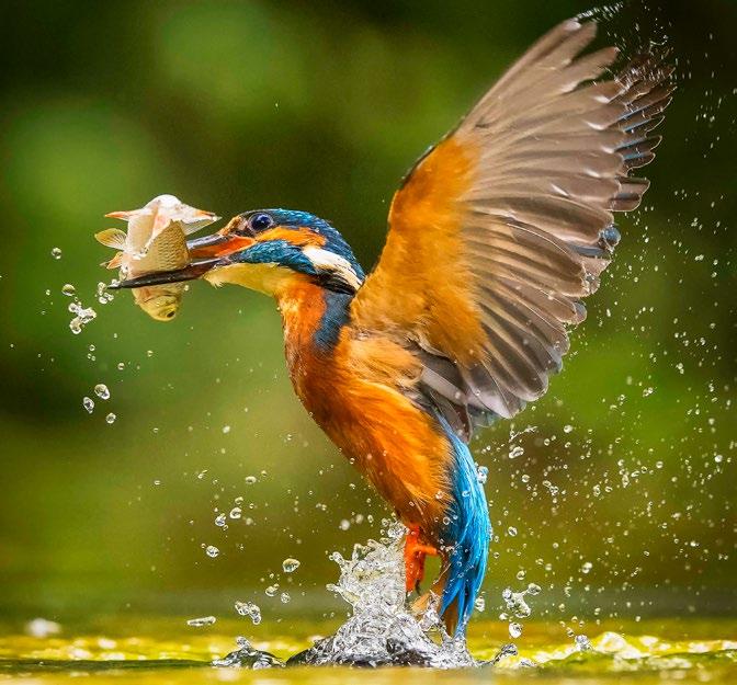 Het Viron hoortoestel daarentegen, voelt als de professionele camera van een natuurfotograaf. Dat bewuste moment wordt in real-time gevangen. Het systeem detecteert en analyseert de omgeving met 32.