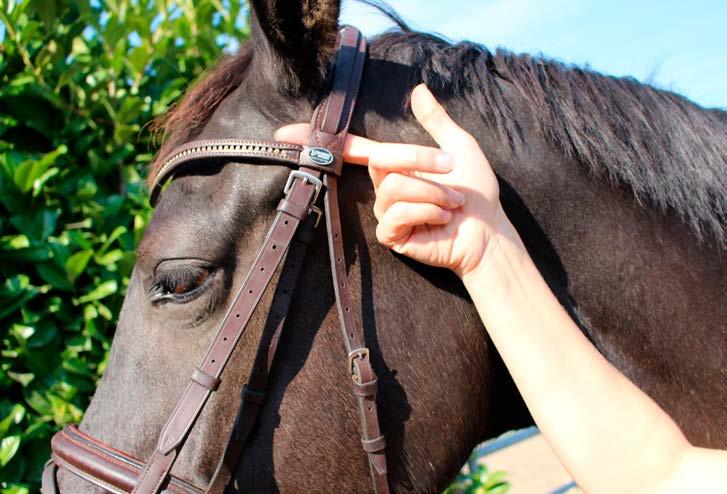 5: Caitlyn checkt de lagen van de