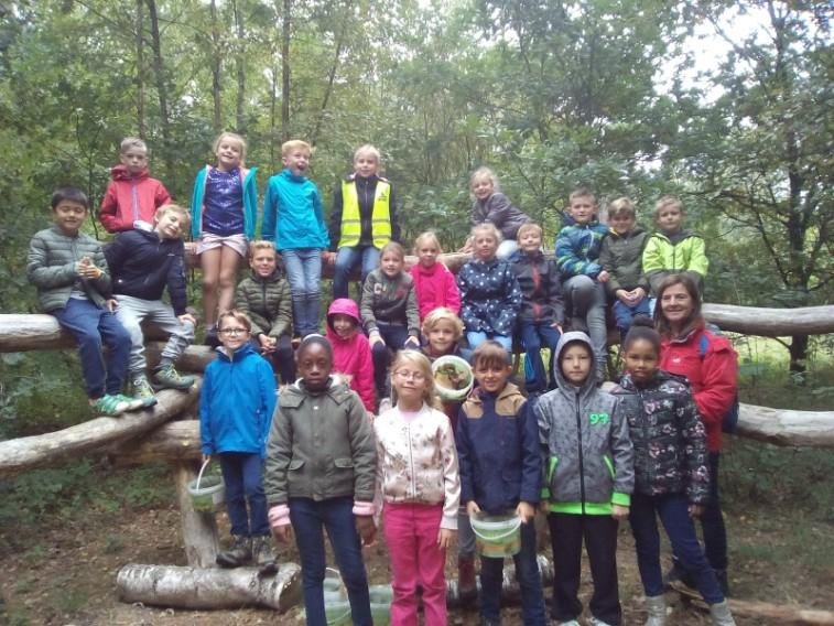 Trollenwandeling Twee weken geleden gingen we met de derdeklassers naar het Ecocentrum. We gingen op zoek naar echte trollen en in de namiddag knutselden we fantasiedieren!