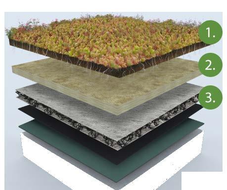 niet alleen leuk uit, maar verlengen ook de levensduur van een dak, zijn goed voor de biodiversiteit en bufferen regenwater.