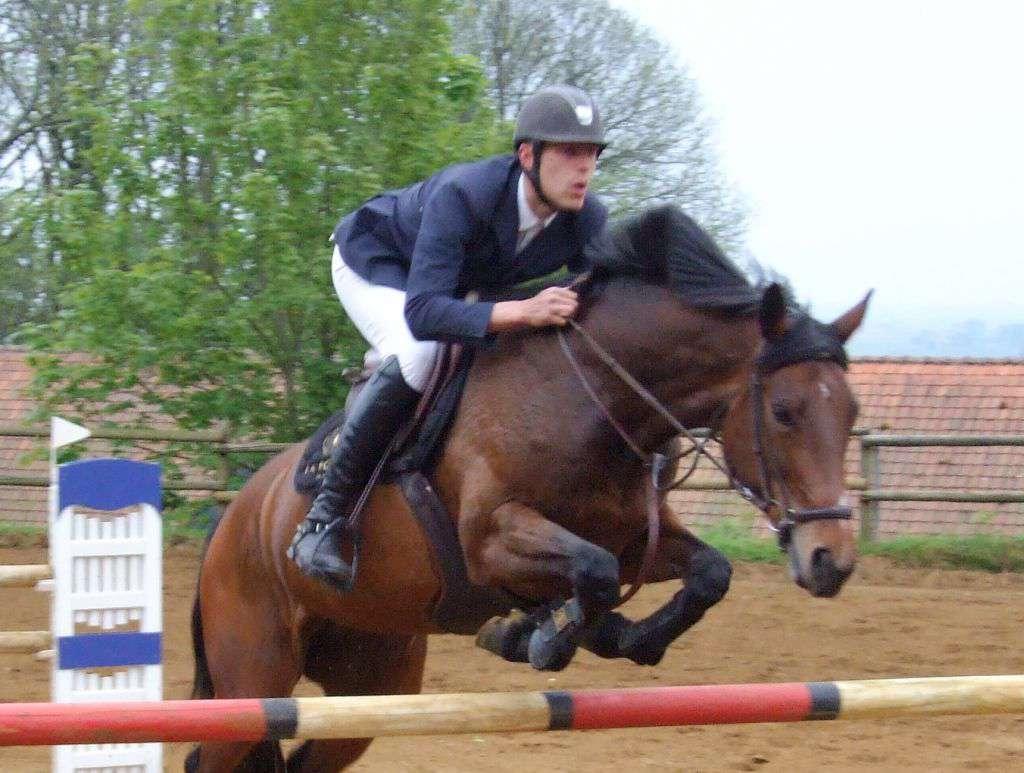 HUISRUITER CHRISTOF DERAEDT Helpt U met raad en daad Je zoon of dochter is verzot op paarden en de paardensport, zelf ben je een leek in het vak en wens je een beroep te doen op mensen met kennis van