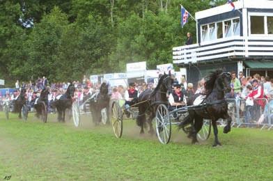 PRIJSLIJST 2019: Ook in 2019! Standhouder Hippinkster Promodorp U krijgt een ruimte van 5 meter breed tot uw beschikking.