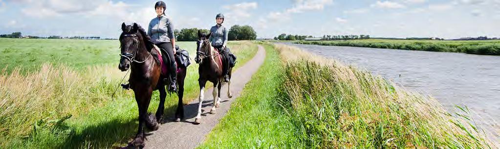 PAARDRIJDEN In rustige draf of volle galop Op de rug van je paard hoor je het hoefgekletter tegen de bomen weerkaatsen Paardenliefhebbers kunnen hun hart ophalen in de Noardlike Fryske Wâlden.