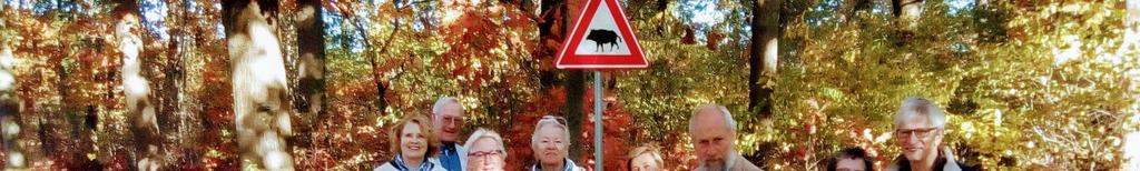 Startpunt Heeze, Kasteel, Herbertusbossen, Keelven en via Strabrecht weer terug. Sept. Startpunt Geldrop, Strabrecht en Lieropse heide. Okt.