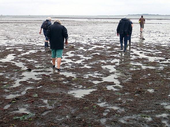 Vondsten We liepen eerst door naar het poelgedeelte dat het snelst na eb weer