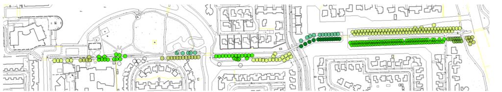 Kwaliteit van de laanbeplanting: In 2016 heeft de gemeente Leeuwarden een opdracht uitgezet bij het bedrijf Alles over Groenbeheer.