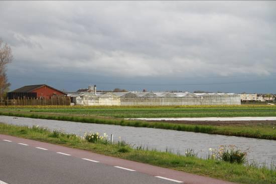 3 Situatie en omgeving 3.1 Bedrijfscomplex Eikenhorstlaan Het complex aan de Eikenhorstlaan 1, zie foto 1 en 2, betreft een kassencomplex in een verouderde staat.