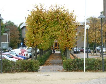 Het plein is (te) groot en de pleinwanden functioneren niet, met als gevolg het ontbreken van samenhang in het centrum.