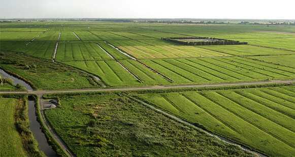 De naam Strien is afkomstig van de gelijknamige rivier, een belangrijke handelsroute tussen de