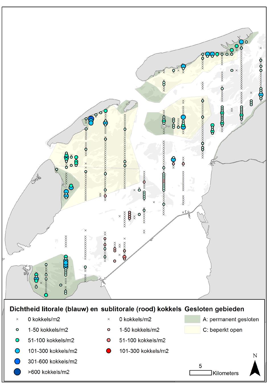 Figuur 11. Dichtheden van kokkels (aantal per m 2 ) in de westelijke Waddenzee in het voorjaar van 2017.
