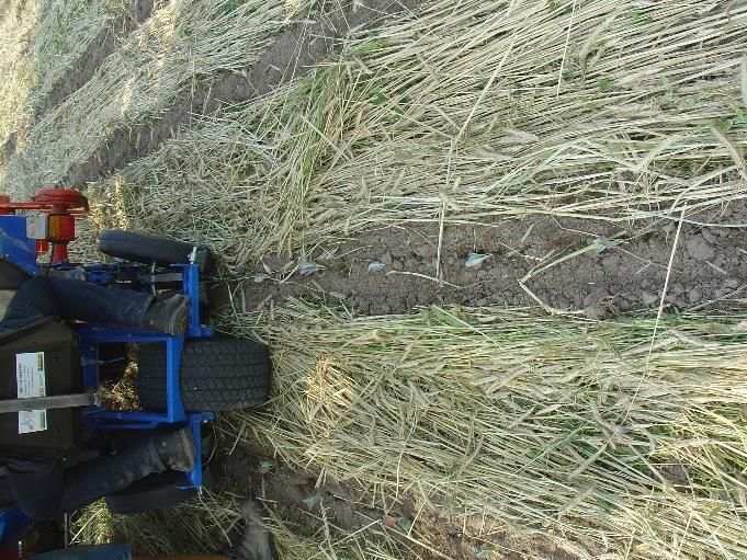 situeert zich net in twee proefjren met extremen qu weers- en bodemomstndigheden.