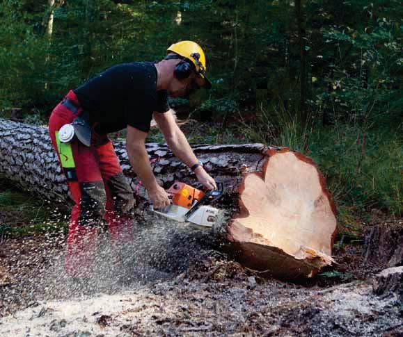 Tabel 2. Voorbeelden van bioraffinage-initiatieven met hout in Nederland. Consortium Grondstof Status Producten Bioforever DSM, Havenbedrijf Rotterdam, Suez Groupe, e.a. Corbion, Uniper, RWE, Havenbedrijf Rotterdam Avantium (Zambesi proces), RWE, AkzoNobel, Chemport Europe, Staatsbosbeheer BTG-BTL - Empyro pyrolysis plant, www.