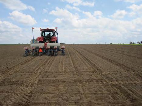 6 In 2012 worden proeven aangelegd in aardappelen en maïs. Bij aardappel wordt verschil gemaakt in het volvelds aanwenden van organische mest en toediening in de rij.