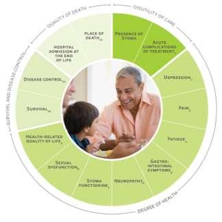 Focus op uitkomsten: Porter s drie tiers en ICHOM Tier 1 Tier 2 Tier 3 Gezondheidsstatus Vb.