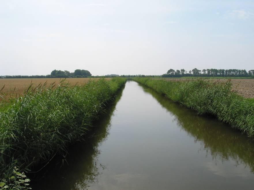 Watersysteemanalyse KRWwaterlichamen in het beheergebied van