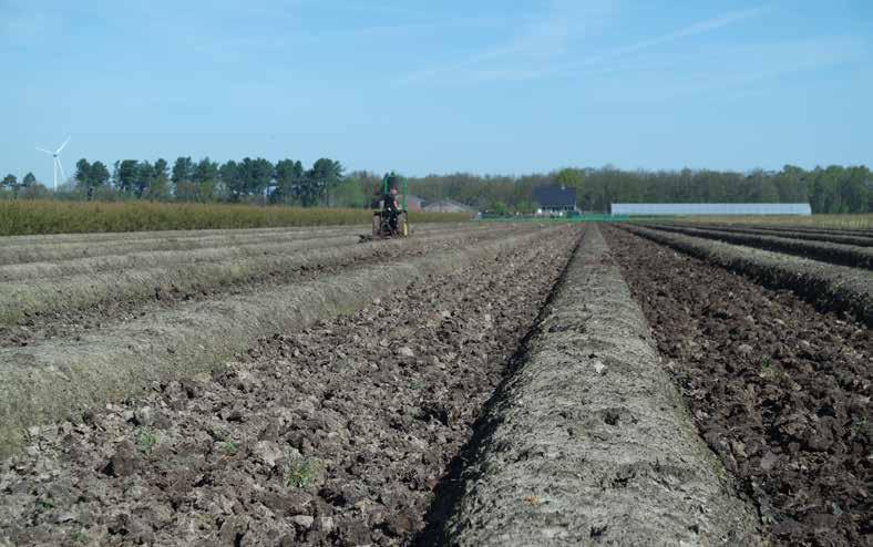 Aanplant blauwe bes 4 De optimale start van uw blauwe bessen aanplant DCM PN-MIX NP 10-17 Een goede aanplant van uw nieuwe blauwe bessen is bepalend voor de toekomstige oogst.