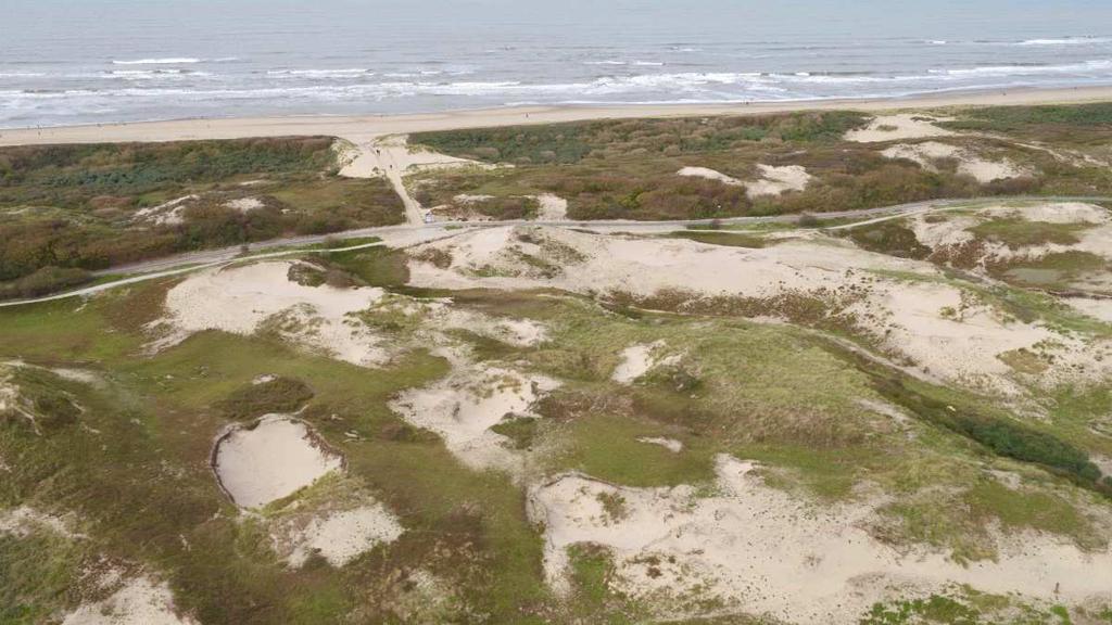 Hollandse Duinen, 11 augustus 2018 Erik van der Spek Op verzoek van EIS is de zomerexcursie dit jaar in het Nationaal Park i.o. Hollandse Duinen waar in samenwerking met DUNEA en Staatsbosbeheer een 5000 soorten jaar wordt georganiseerd.