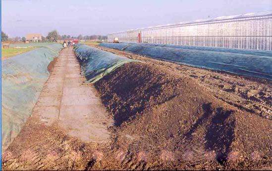 Important aspects Crop rotation Base dressing Organic matter supply, primarily compost: feeding microorganisms Manure only supplemental (source organic farming!