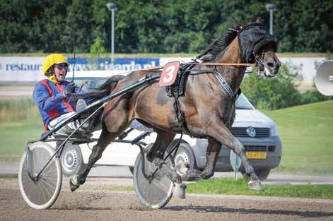 7 PRIX TIMOKO (TROTTEUR FRANCAIS SILVER CHALLENGE) 18.40 U. Draverij van meet voor Franse paarden. Winsom tot 70.000. (g.l.s.) Dotering: 5500 (2750, 1250, 700, 300, 250, 150 en 100) 2600 autostart l.