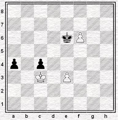 15 - Schaak-studie blz. 16 SCHAAKPUZZELS OP WEBSITE www.msvschaakt.