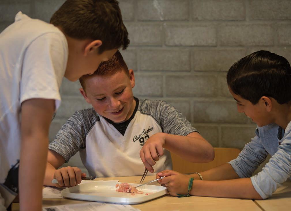 Contacten met ouders Onze school biedt ouders een goed gestructureerd plan van samenwerking. Individuele gesprekken tussen ouders, leerlingen en mentor zijn gedurende het hele jaar mogelijk.