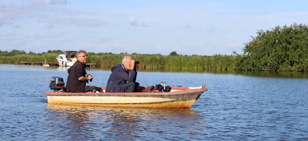 Naast de broedparen hielden zich meer Zeearenden op in Fryslân gedurende het voorjaar.