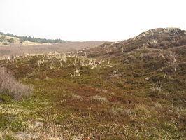 Projectplan Gebieden met hoge natuurwaarden hangen samen met kleinschalige landbouw en heischrale begroeiing.