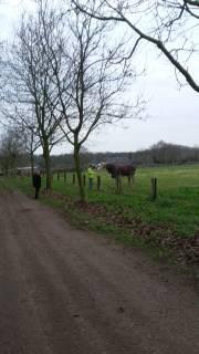 Sinterklaas, wie kent hem niet? Woensdag 6 december gingen we met IVN Biowalk weer op pad. Extra nerveus, want zou de Sint nog in de buurt zijn? Annet had al gauw Zijn schimmel gevonden.