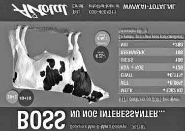 51 61 35 Drachten@acconavm.nl Kantoor Sneek (0515) 42 42 42 Sneek@acconavm.