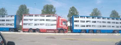 schaduw kunnen staan Slechts een paar trucks in de wachtrij hebben een kleine ventilator.