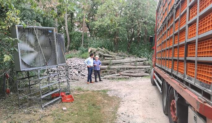 gezien en foto s gemaakt. De vernevelaars stonden niet aan (het was immers koud) maar de directeur laat weten dat ze erg effectief zijn tegen hittestress.