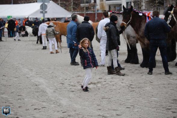 Planning 2018: 18 evenementen met minimaal 5.000 bezoekers 4.