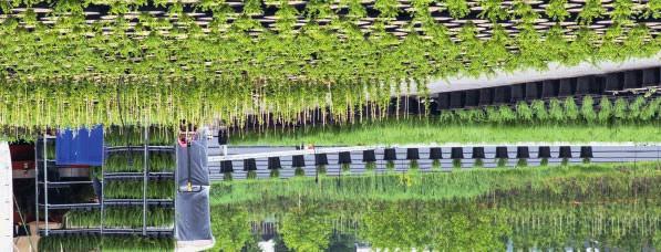 Sector Boemisterij aan het woord: Invoering pantenpaspoort is astig, maar we krijgen het voor ekaar De invoering van het nieuwe pantenpaspoort is voor de boemisterijsector ingrijpend.