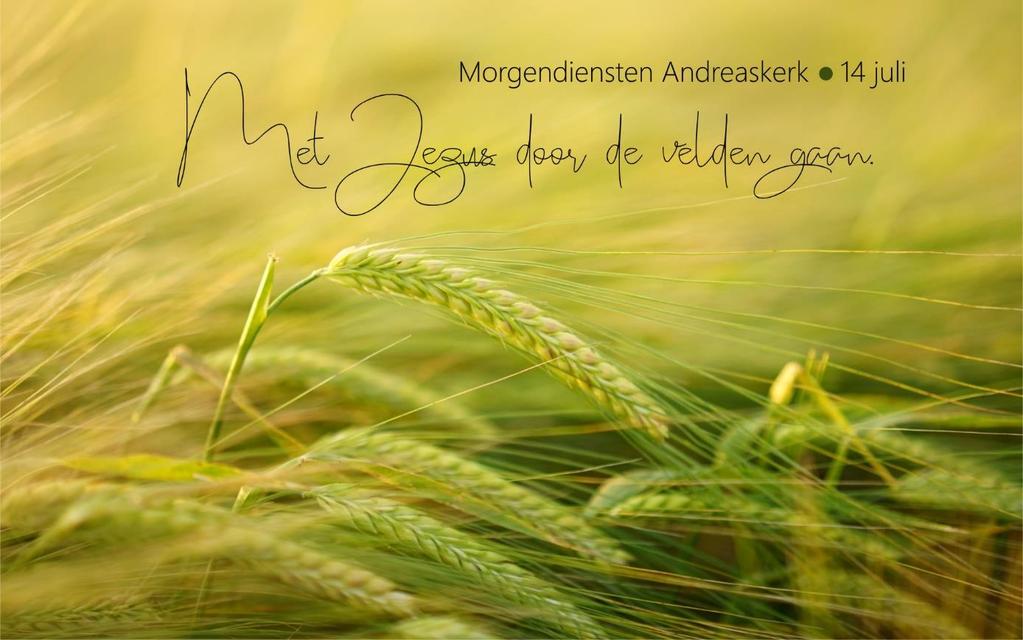 Liturgie morgendiensten zondag 14 juli 2019 Andreaskerk Putten Voorganger ds.