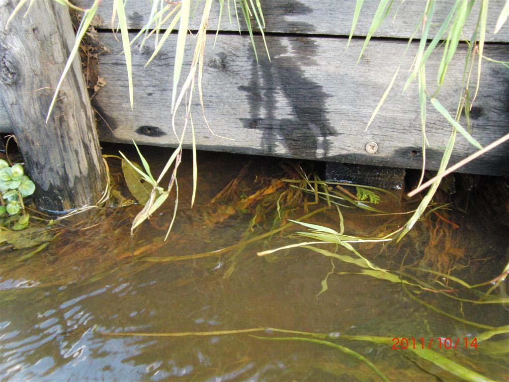 Egelbeek Vaassen: Hydrobiologische evaluatie van de uitgevoerde