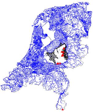 Stempellinella brevis Deze muggelarve staat in de Limnodata slechts genoemd van 14 vindplaatsen, waarvan 13 op de Veluwe.