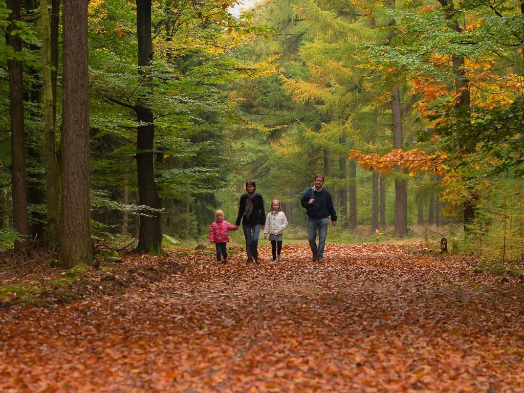 Publieksactiviteiten Steun Het Drentse Landschap kan haar werk doen dankzij de steun van haar duizenden beschermers. Hun aantal is de afgelopen jaren min of meer gestabiliseerd.