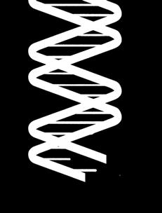 Het DNA van de NVRG: een uniek gezelschap van leden die stuk voor stuk authentiek zijn en geloven in de kracht van de systeemtherapeutische aanpak.