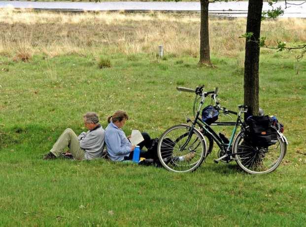 Stikstof Korte samenvatting van het beheerplan