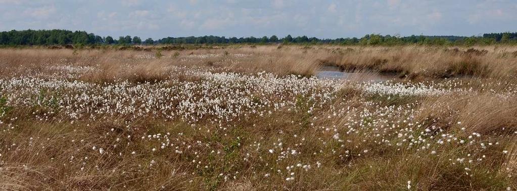 vergunning aanvragen provincie Drenthe Toezicht en handhaving belangrijk