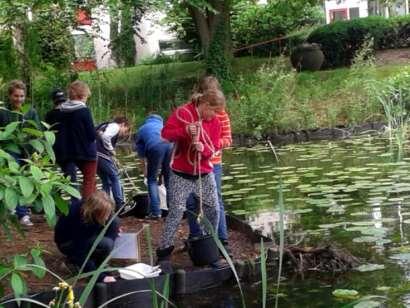 In dit subtopic ga je de kwaliteit van het water van twee sloten/plassen/vijvers rondom de school bekijken. in sloten vijvers of plassen kan door vele oorzaken vervuilen.