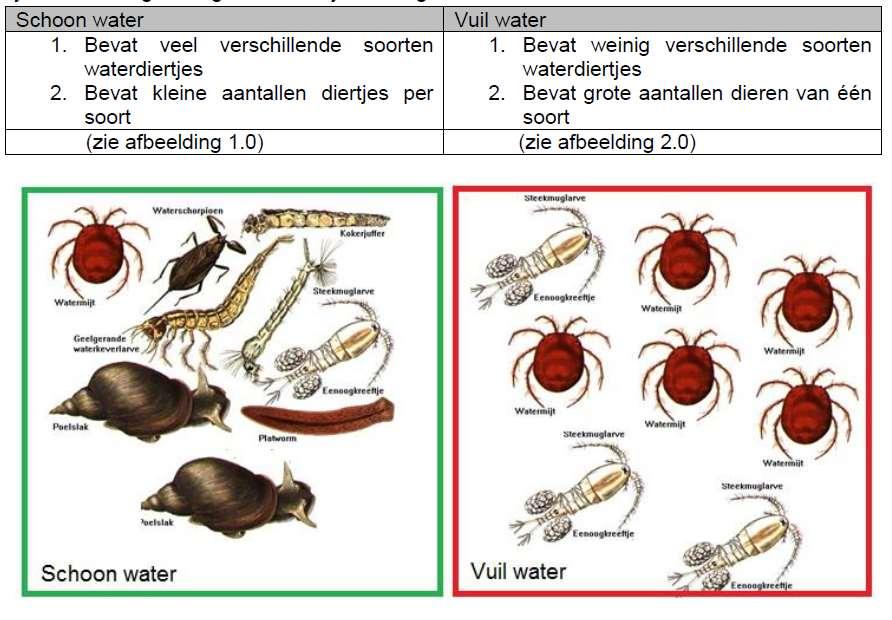 Stap 2: het echte onderzoek: waterkwaliteit meten en bekijken Zo je hebt al een onderzoeksvraag en hypothese gemaakt.