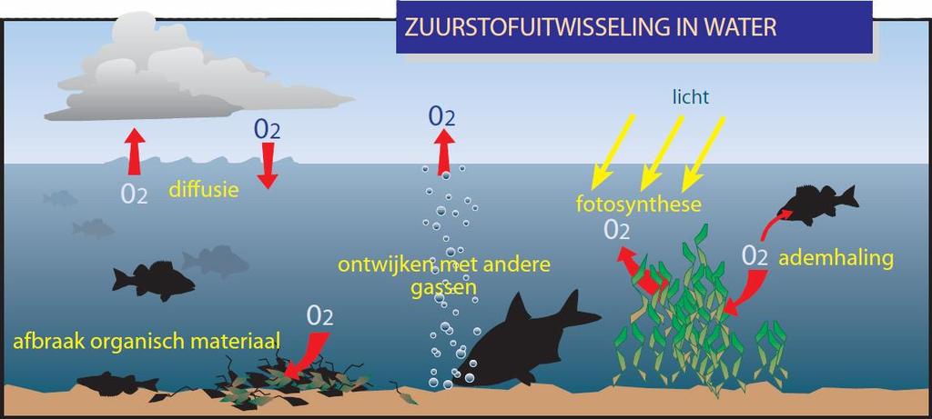 Zuurstofgebrek Dé