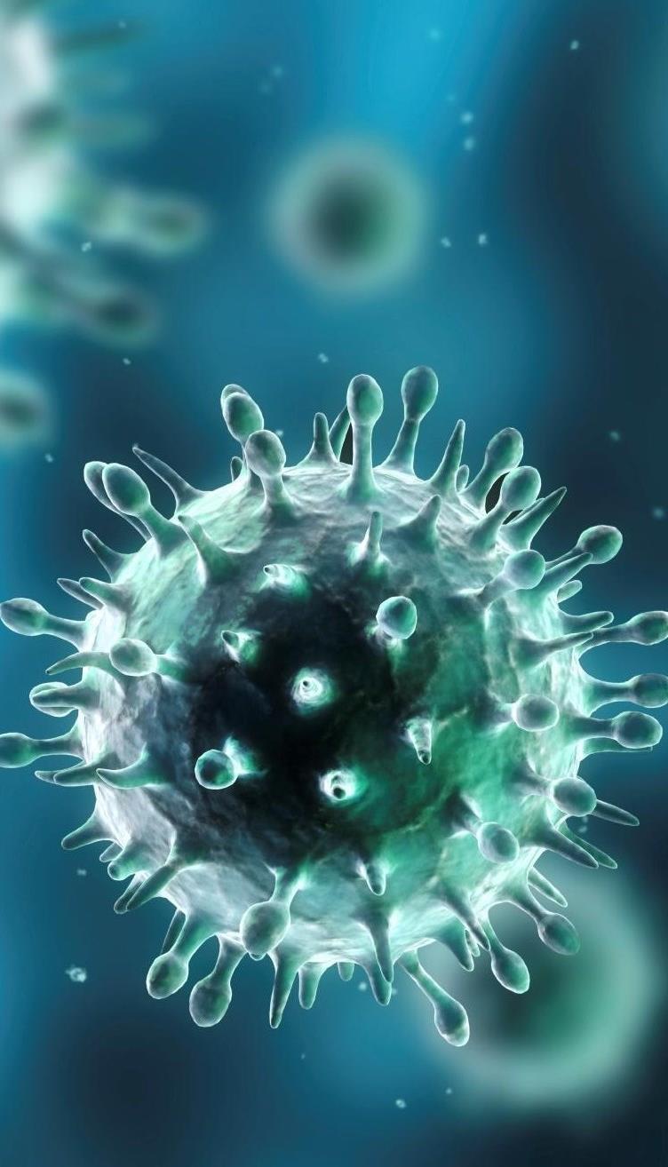 Virussen Hebben voor de ontwikkeling een levende cel als gastheer nodig. Kunnen bepaalde tijd buiten een gastheercel in leven blijven.